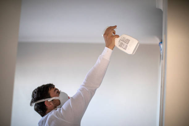Best Preventive Mold Services in San Pablo, CA