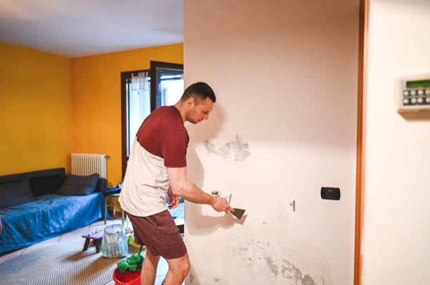 Best HVAC Mold Remediation in San Pablo, CA